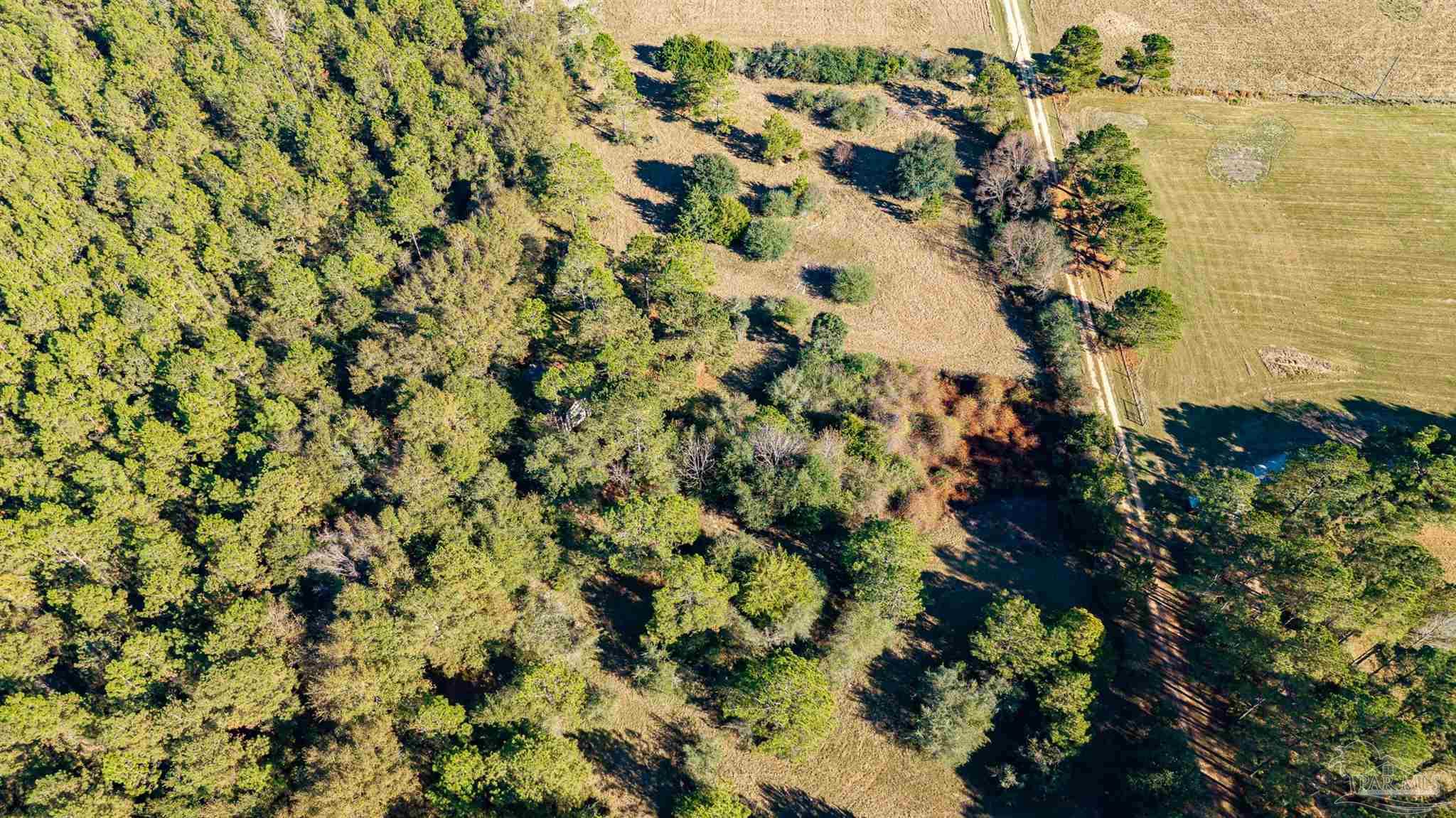 1756 Jacks Branch Road Cantonment, FL 32533 - Photo 19 of 29 a view of a tree