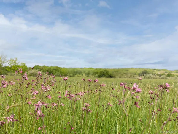 $164,000 | 0 Beechwoods Road, Callicoon, NY 12723