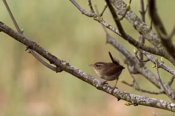 $164,000 | 0 Beechwoods Road, Callicoon, NY 12723