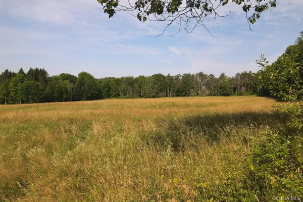 $164,000 | 0 Beechwoods Road, Callicoon, NY 12723