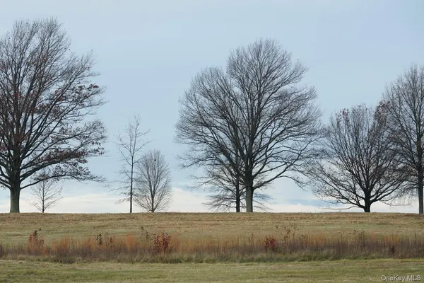 $164,000 | 0 Beechwoods Road, Callicoon, NY 12723