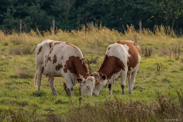 $164,000 | 0 Beechwoods Road, Callicoon, NY 12723