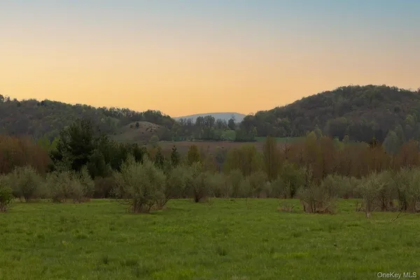 $164,000 | 0 Beechwoods Road, Callicoon, NY 12723