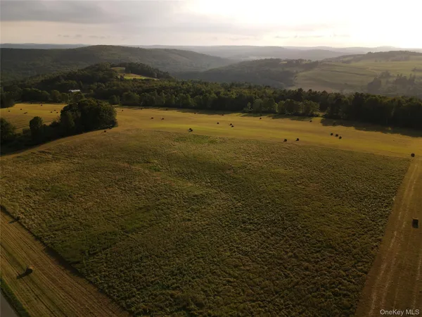 $164,000 | 0 Beechwoods Road, Callicoon, NY 12723