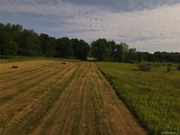 $164,000 | 0 Beechwoods Road, Callicoon, NY 12723