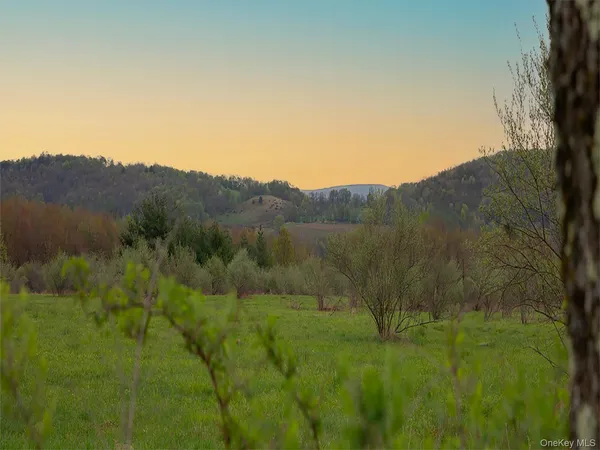 $164,000 | 0 Beechwoods Road, Callicoon, NY 12723