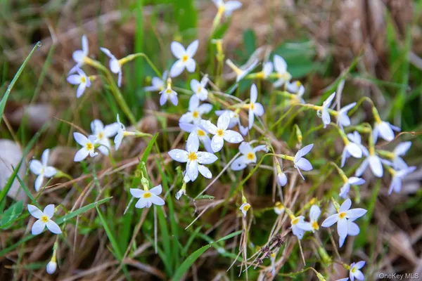 $164,000 | 0 Beechwoods Road, Callicoon, NY 12723