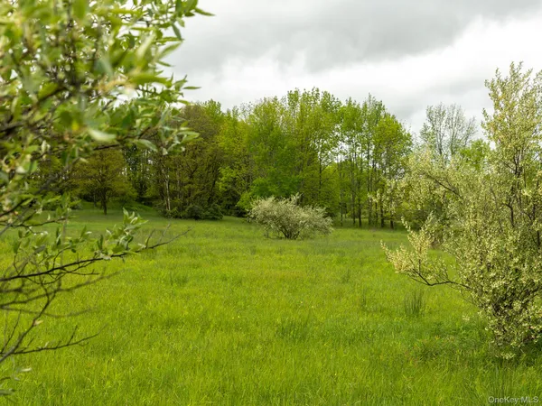 $164,000 | 0 Beechwoods Road, Callicoon, NY 12723