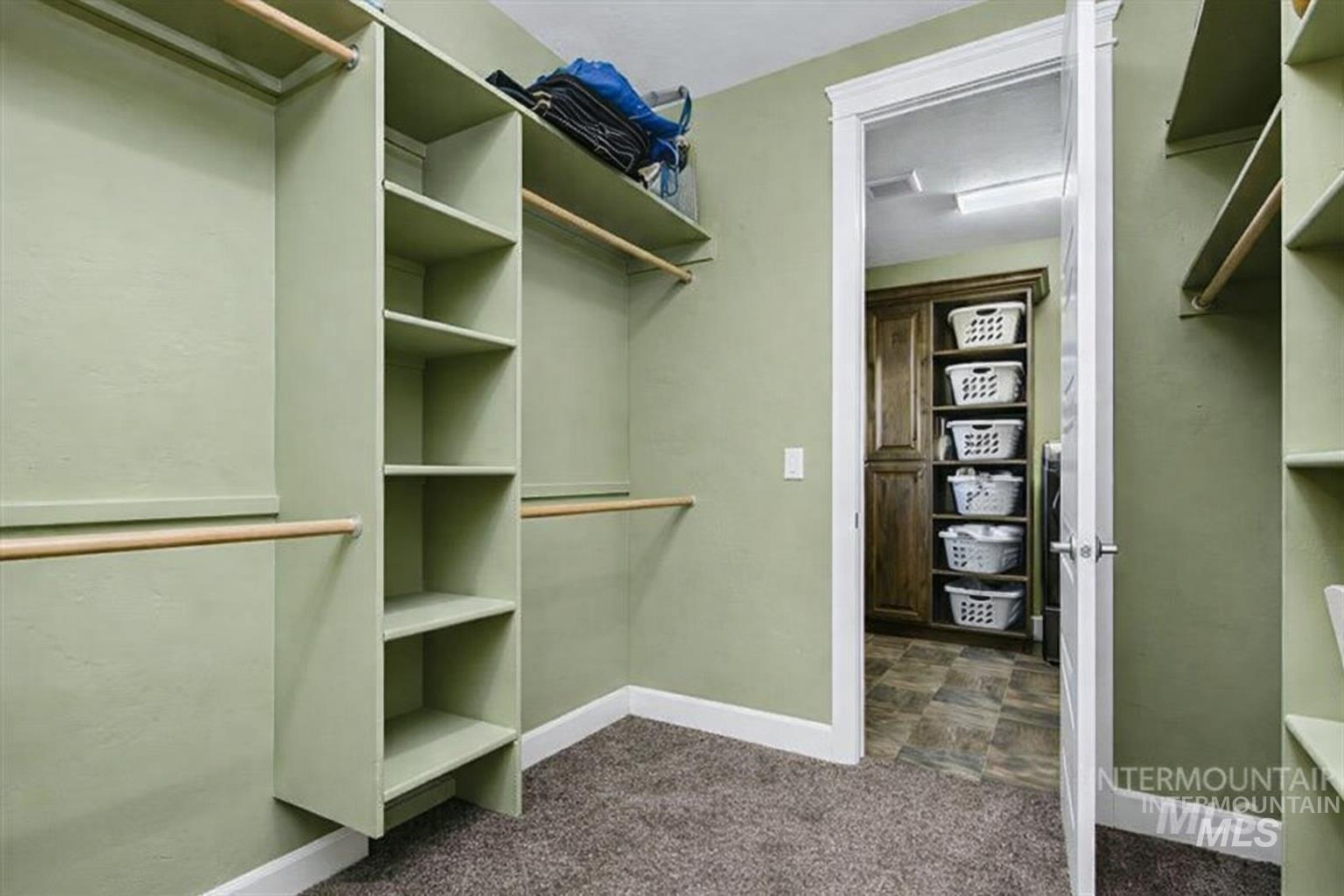 24053 Pheasant Ridge Court Middleton, ID 83644 - Photo 23 of 50 Walk in closet with attic access and dark carpet