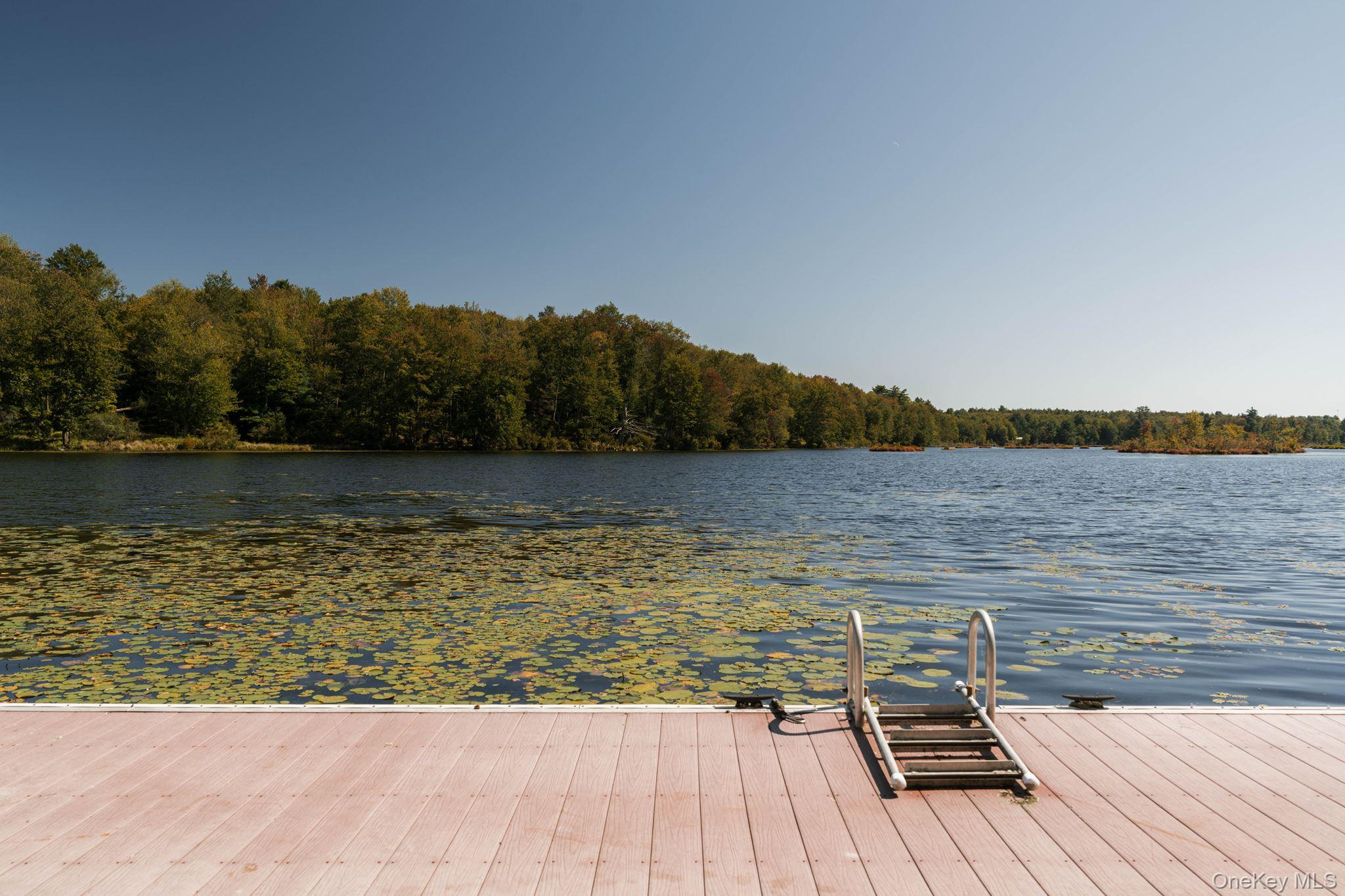 408 Hurd Road Bethel, NY 12783 - Photo 10 of 50 Gallery Image 10