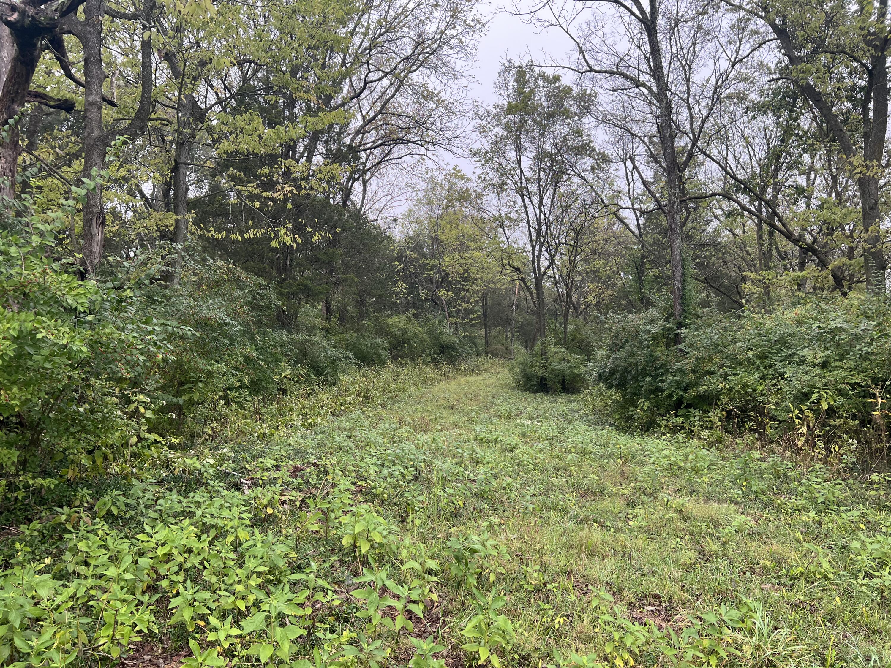 475 Curd Lane Versailles, KY 40383 - Photo 2 of 15 IMG_3428
