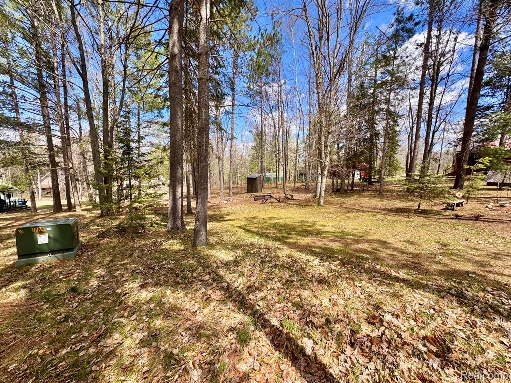 10931 North Roberts Road Frederic, MI 49733 - Photo 29 of 33