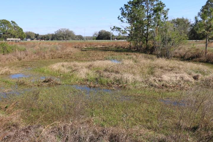 48 Cr Bushnell Bushnell, FL 33513 - Photo 12 of 39