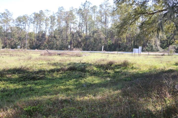 48 Cr Bushnell Bushnell, FL 33513 - Photo 12 of 39