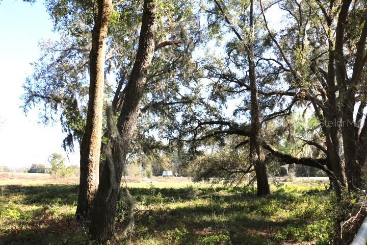 48 Cr Bushnell Bushnell, FL 33513 - Photo 15 of 39