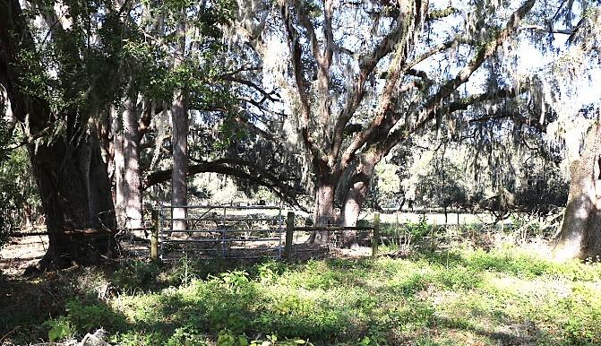 48 Cr Bushnell Bushnell, FL 33513 - Photo 16 of 39