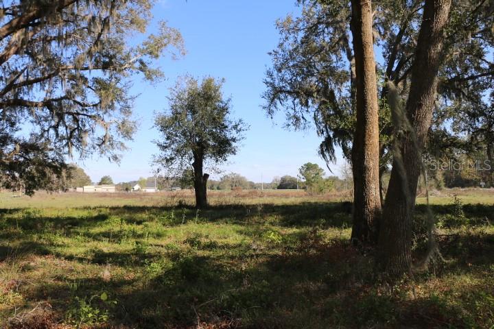 48 Cr Bushnell Bushnell, FL 33513 - Photo 16 of 39