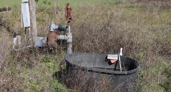 48 Cr Bushnell Bushnell, FL 33513 - Photo 17 of 39