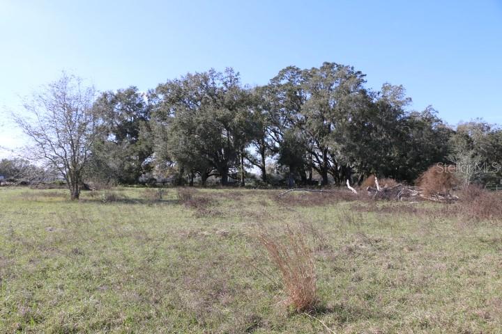 48 Cr Bushnell Bushnell, FL 33513 - Photo 18 of 39