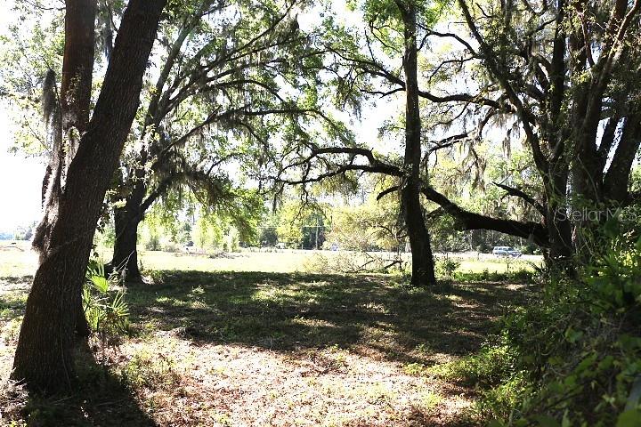 48 Cr Bushnell Bushnell, FL 33513 - Photo 24 of 39