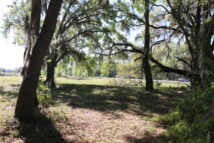 48 Cr Bushnell Bushnell, FL 33513 - Photo 25 of 39