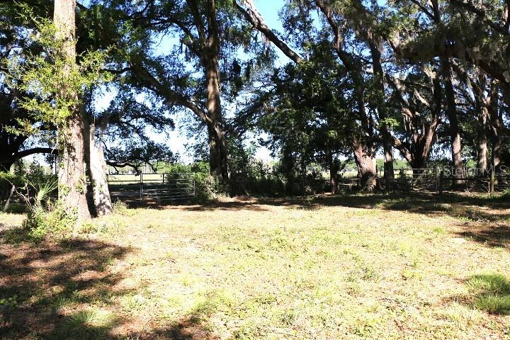 48 Cr Bushnell Bushnell, FL 33513 - Photo 27 of 39