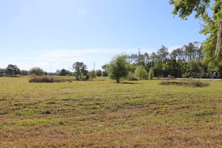 48 Cr Bushnell Bushnell, FL 33513 - Photo 29 of 39