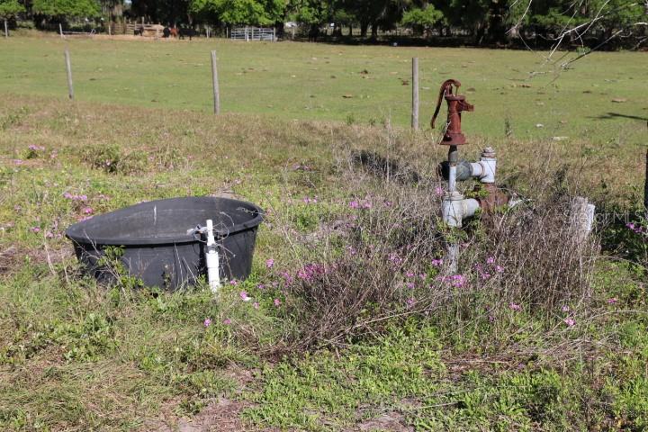 48 Cr Bushnell Bushnell, FL 33513 - Photo 3 of 39