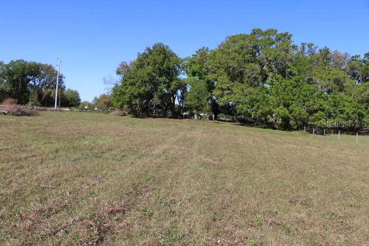 48 Cr Bushnell Bushnell, FL 33513 - Photo 36 of 39