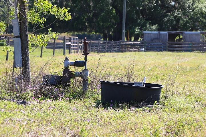 48 Cr Bushnell Bushnell, FL 33513 - Photo 38 of 39