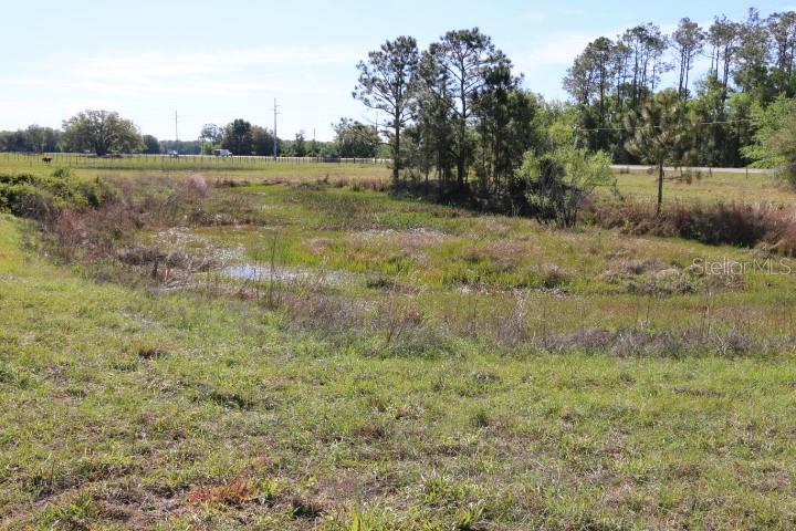 48 Cr Bushnell Bushnell, FL 33513 - Photo 38 of 39