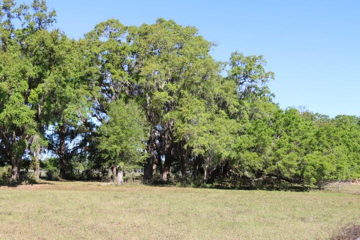 48 Cr Bushnell Bushnell, FL 33513 - Photo 39 of 39