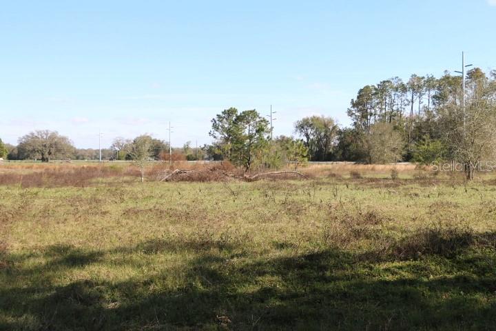 48 Cr Bushnell Bushnell, FL 33513 - Photo 5 of 39