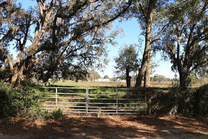 48 Cr Bushnell Bushnell, FL 33513 - Photo 6 of 39