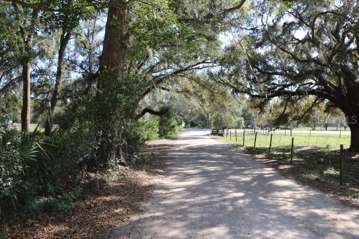 48 Cr Bushnell Bushnell, FL 33513 - Photo 7 of 39