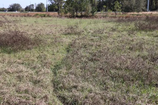 $190,000 | 48 Cr Bushnell, Bushnell, FL 33513