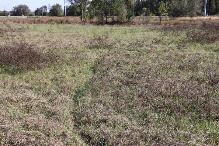 48 Cr Bushnell Bushnell, FL 33513 - Photo 10 of 39