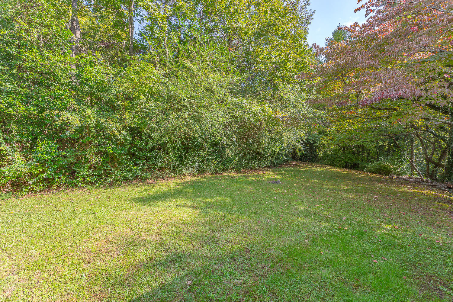 1310 South Crest Road Rossville, GA 30741 - Photo 12 of 35 1310 S Crest HD -12