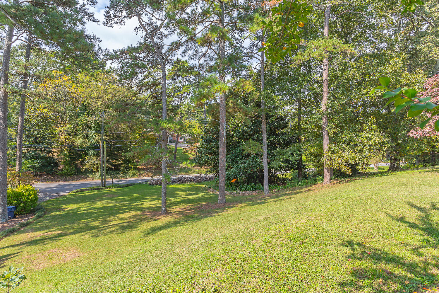 1310 South Crest Road Rossville, GA 30741 - Photo 5 of 35 1310 S Crest HD -5