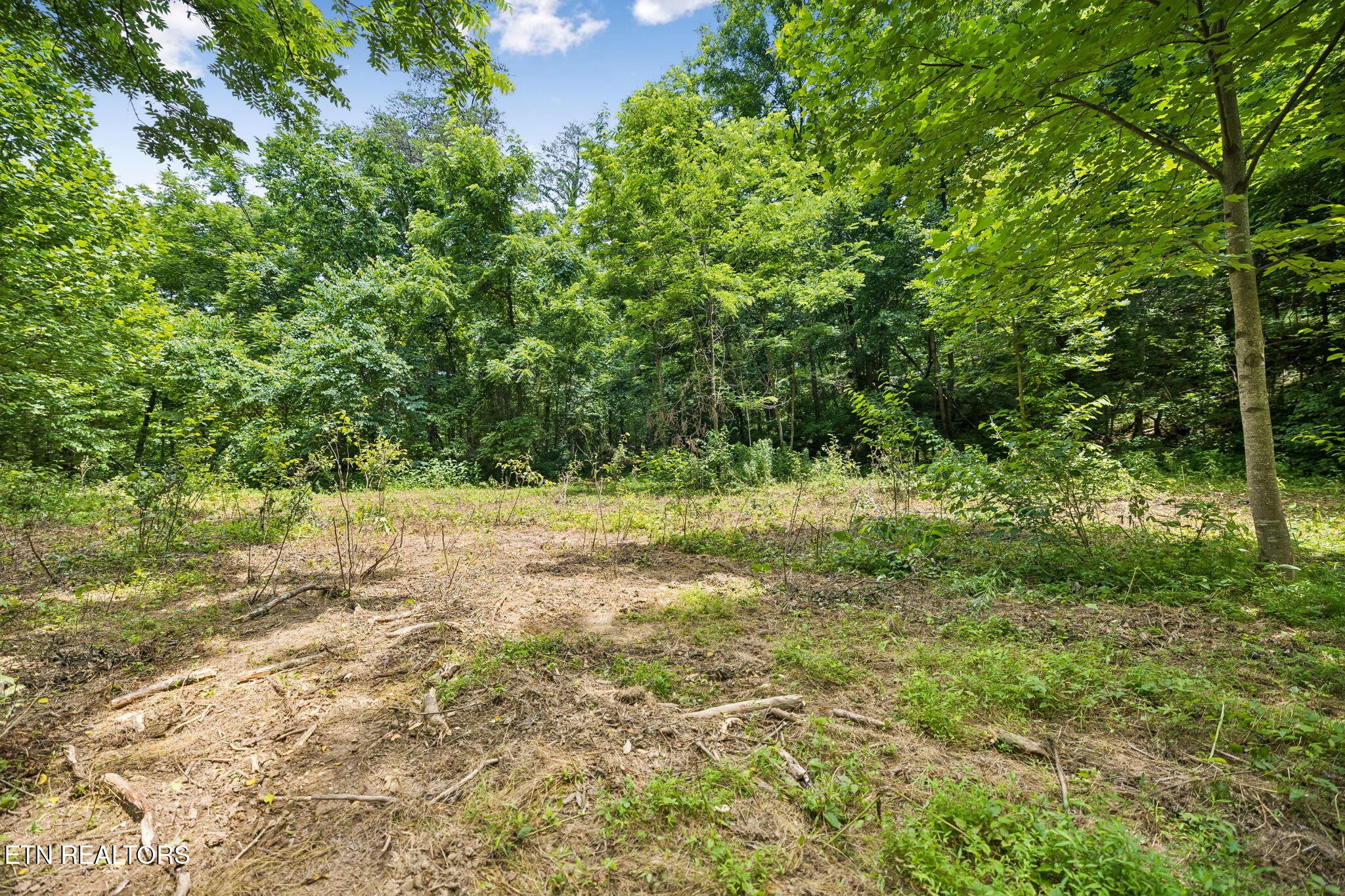 0 Knob Road Rutledge, TN 37861 - Photo 7 of 46