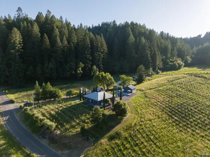 $2,995,000 | 8781 Martinelli Road, Forestville, CA 95436