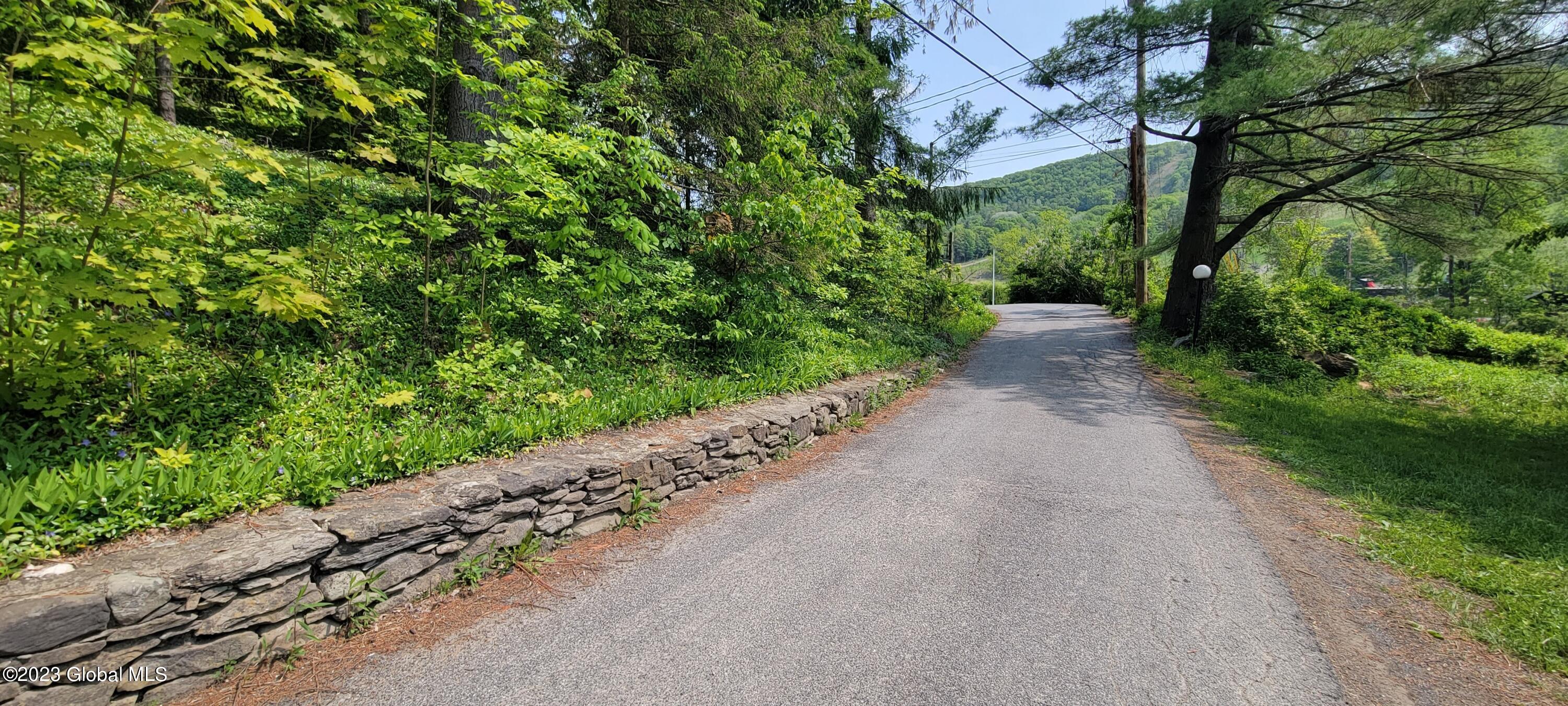 38 Catamount Road Hillsdale, NY 12529 - Photo 4 of 34 38