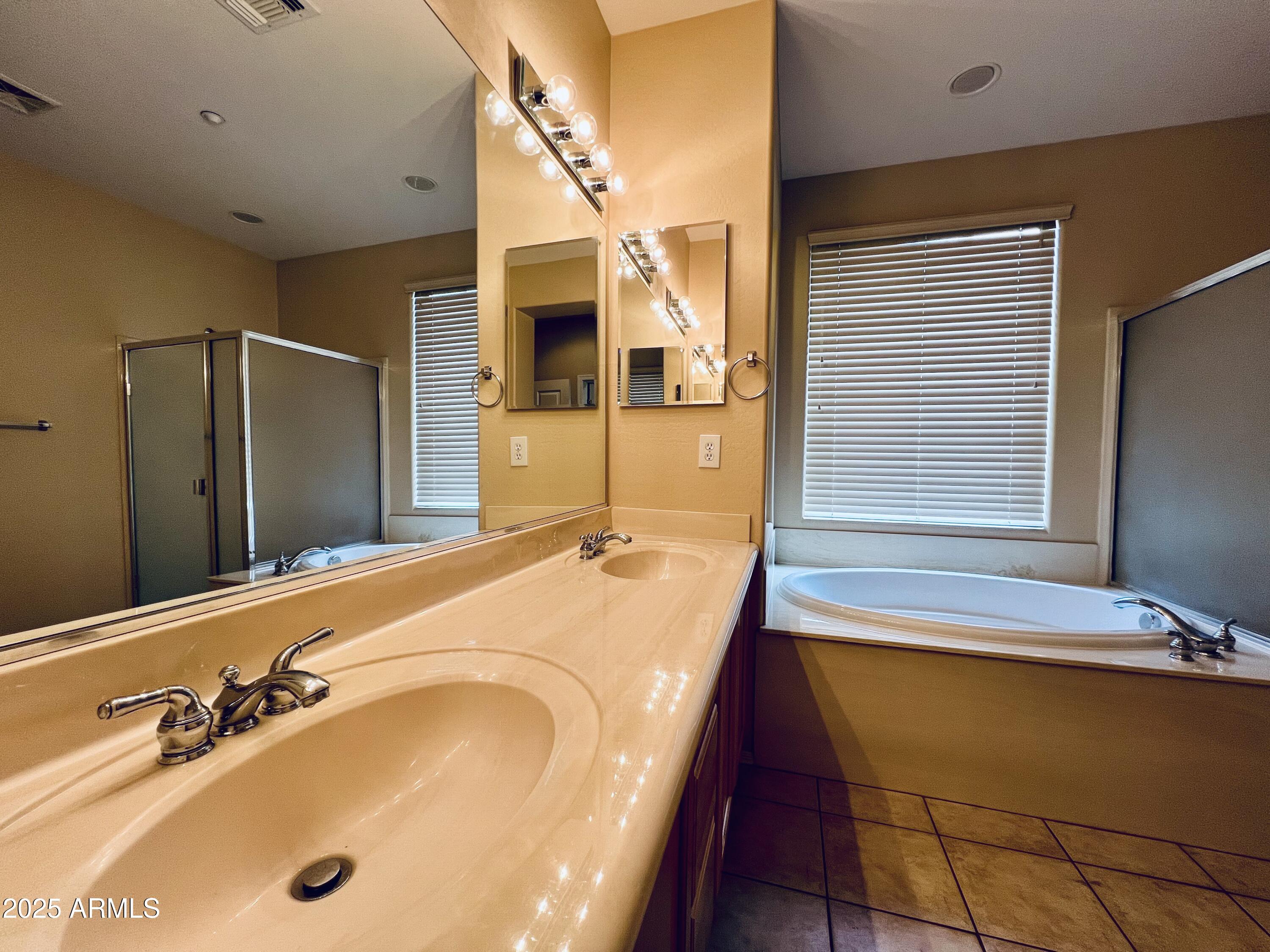 41018 North Prestancia Way Anthem, AZ 85086 - Photo 14 of 29 a bathroom with a tub and a sink