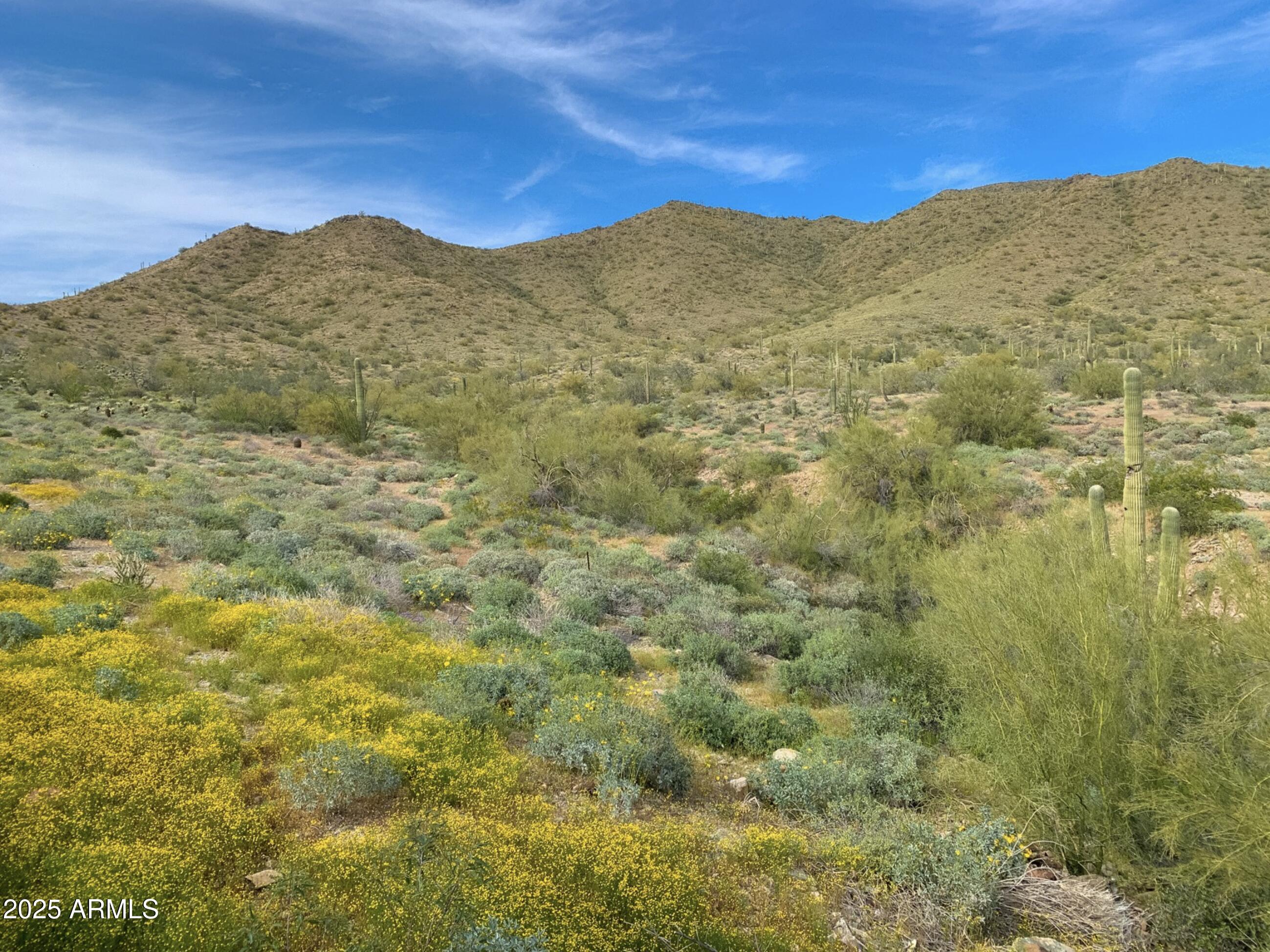 41018 North Prestancia Way Anthem, AZ 85086 - Photo 28 of 29 a view of a large mountain with mountains in the background