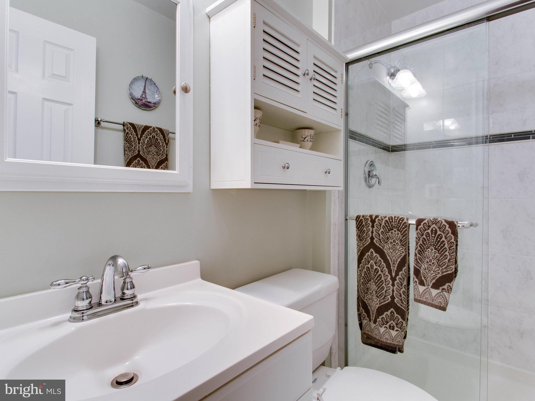 6272 Rathlin Drive Springfield, VA 22152 - Photo 25 of 30 Bath (Master)