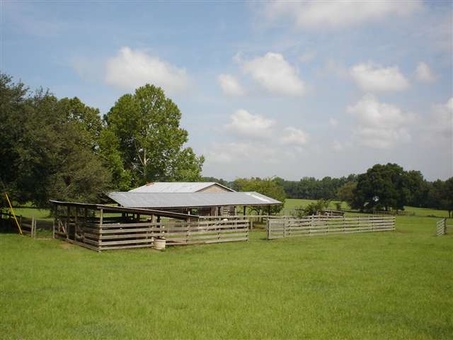 597 Ridge Road Madison, FL 32340 - Photo 4 of 10