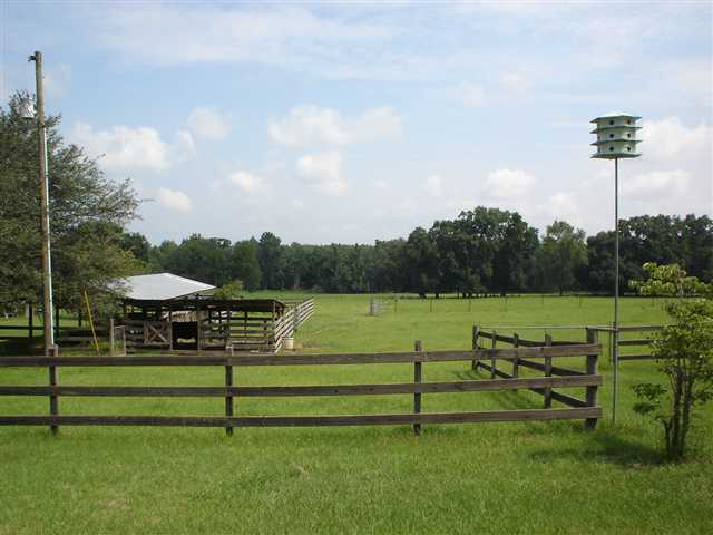 597 Ridge Road Madison, FL 32340 - Photo 5 of 10