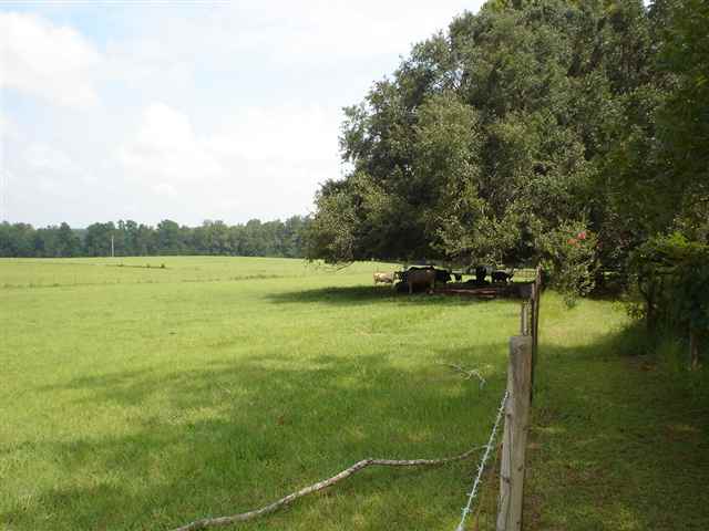 597 Ridge Road Madison, FL 32340 - Photo 6 of 10