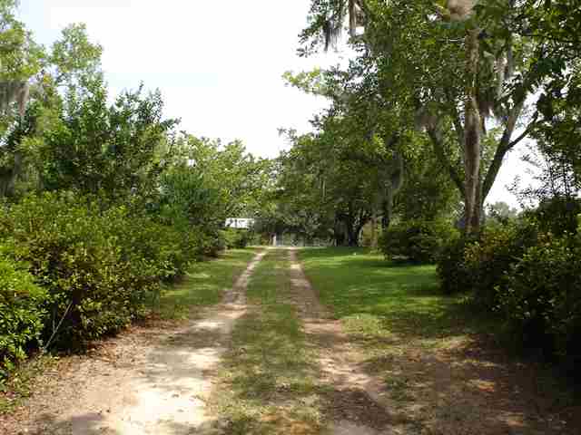 597 Ridge Road Madison, FL 32340 - Photo 8 of 10