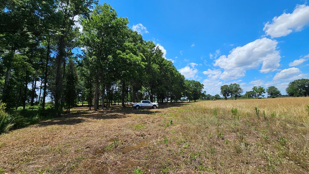 92 County Road 92 Slocomb, AL 36375 - Photo 32 of 58